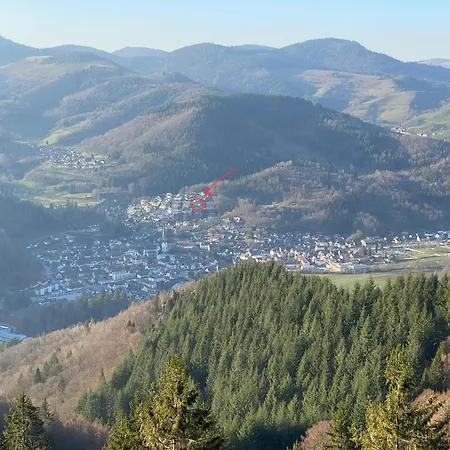 Ferienwohnung Traumblick Schönau im Schwarzwald Exterior foto