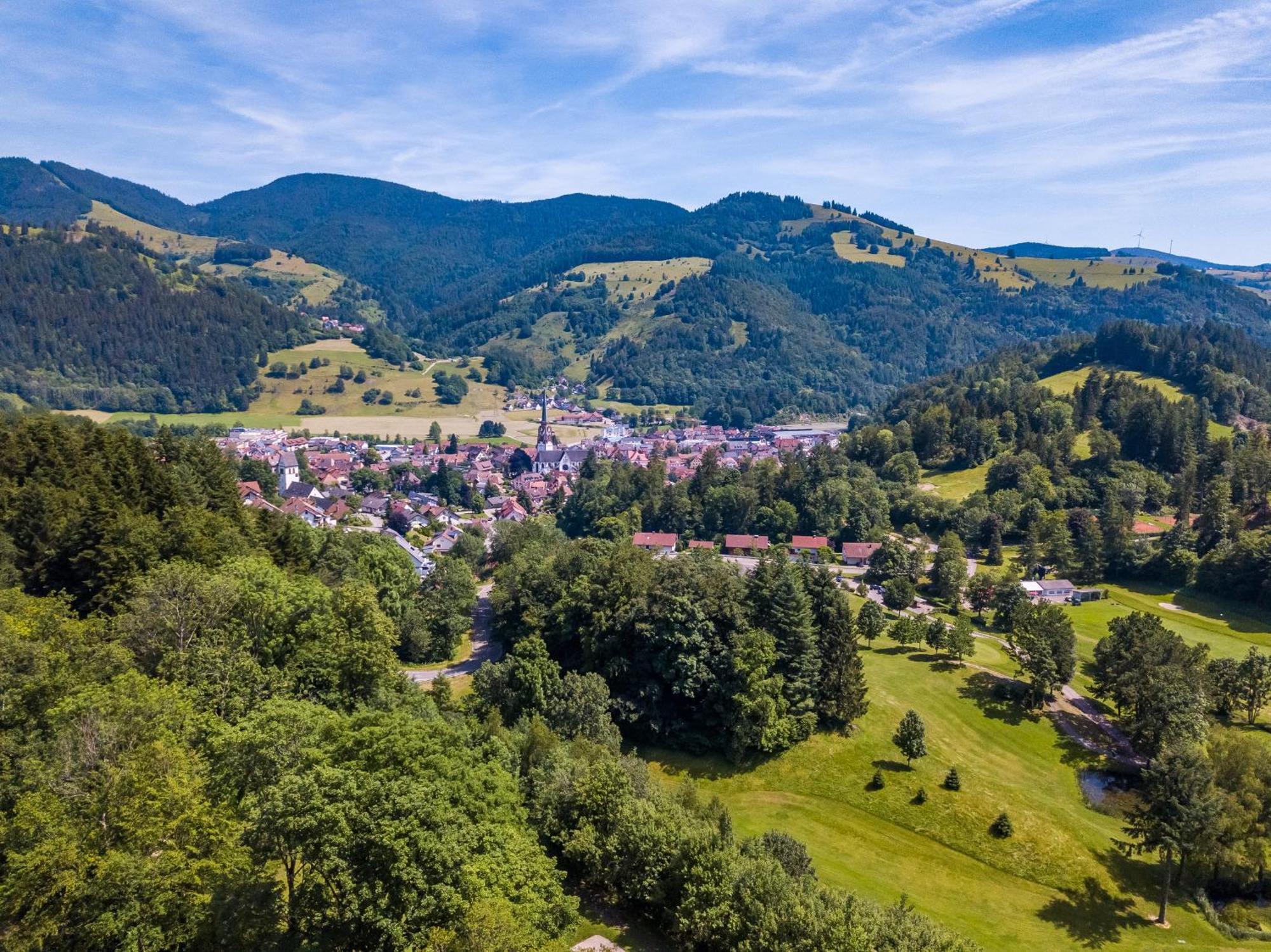 Traumblick Schönau im Schwarzwald